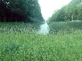 P1070519