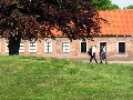 IMG_0940