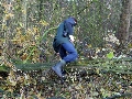 IMG_0334