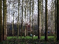 IMG_0338
